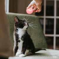 INTERACTIVA PELOTA🏐 PARA GATOS INTELIGENTE🙀+ ENVÍO GRATIS